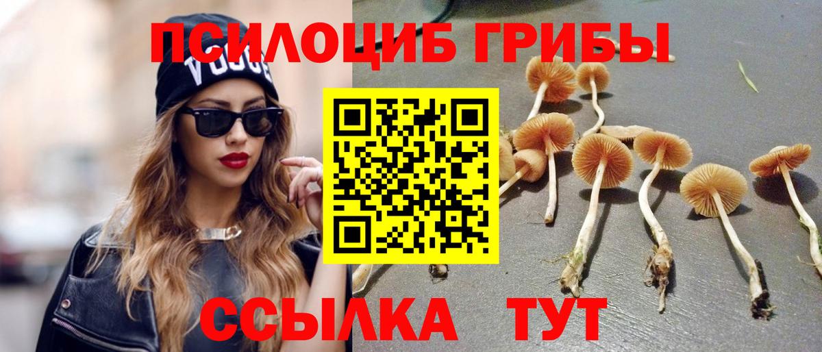 Псилоцибиновые грибы Psilocybe Красный Сулин