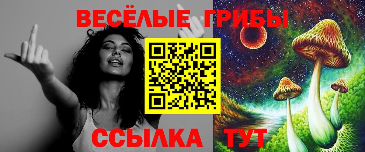Гашиш  Кокаин  Красный Сулин  Alpha PVP СК кристаллы  Где купить наркотики?  Меф кристаллы  Кетамин  ГАШИШ  Канабис  Вход с VPN 